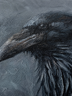 Raven of the North